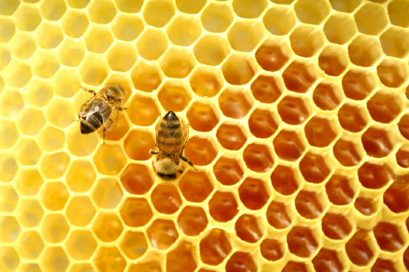 Cire d'abeille brute,, Beurres & gels
