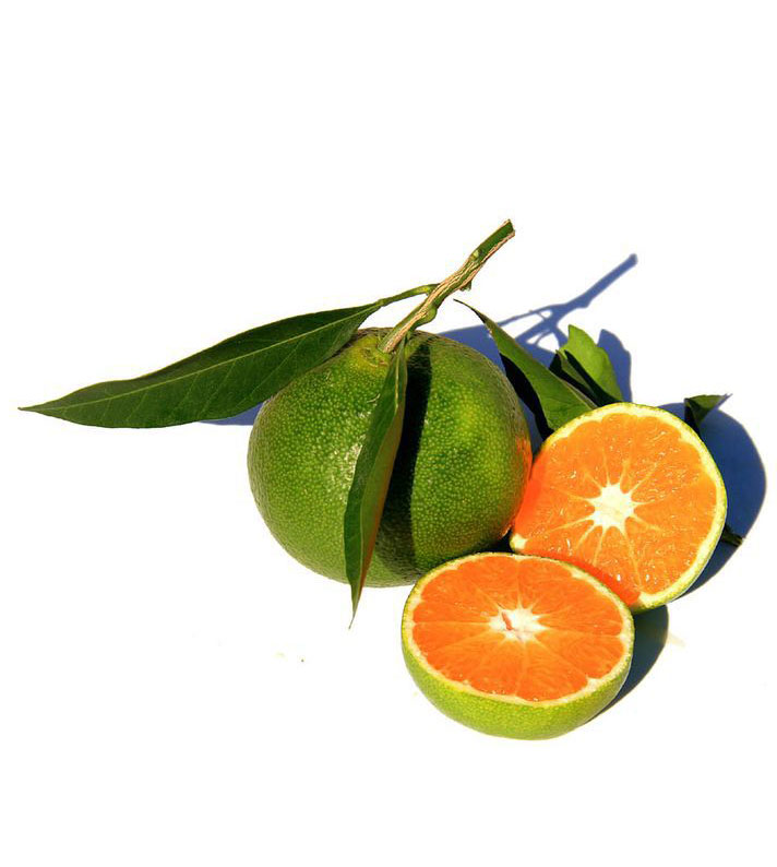 Mandarine verte, green mandarin