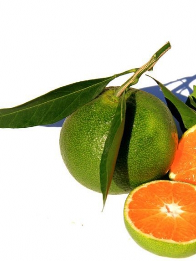 Mandarine verte, green mandarin